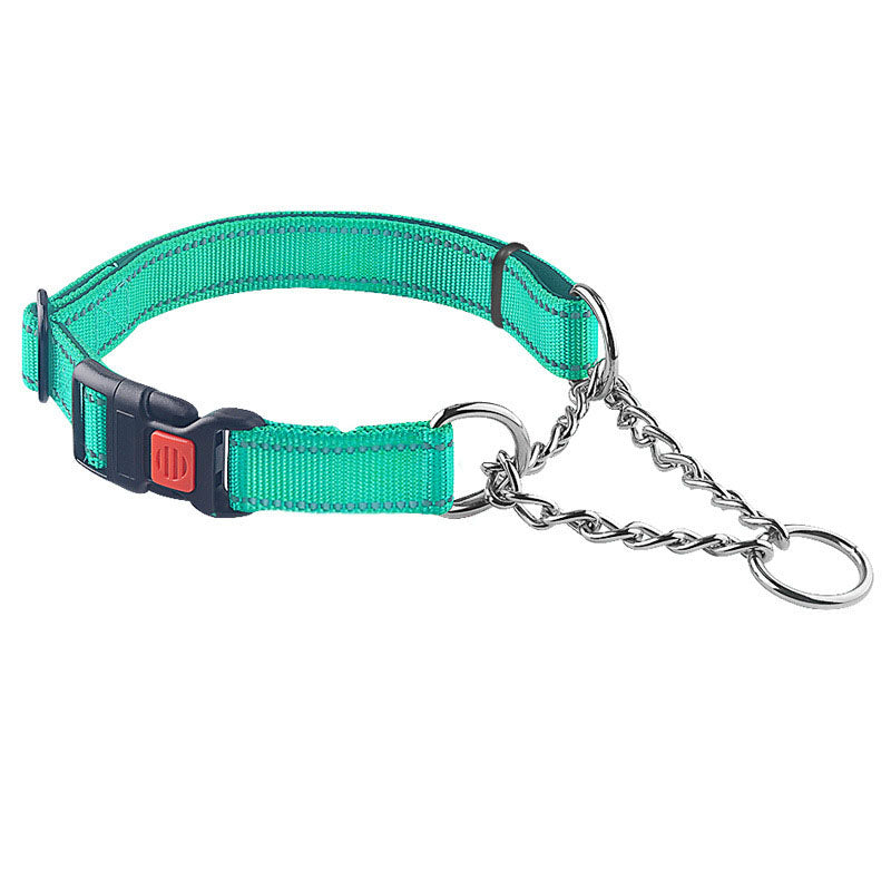 Hundhalsband halvstryp – säkerhetslås & reflexdetaljer Turkos