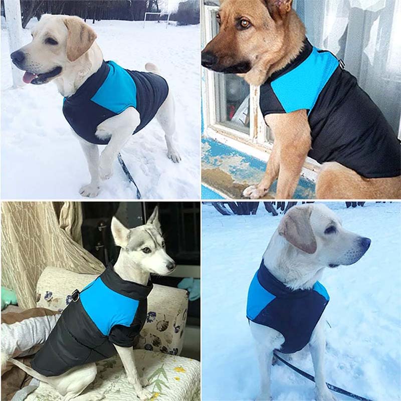 Hundjacka vinter – vindtät, reflekterande & bekväm