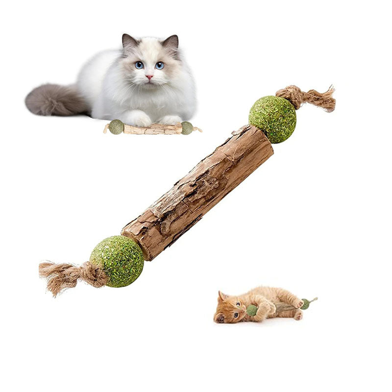 Kattmynta tuggleksak – rengör tänder & minskar stress