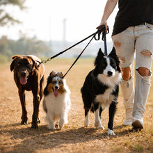 3-i-1 hundkoppel – justerbart & slitstarkt