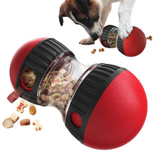 Aktiveringsleksak för hund – slow feeder & mental lek