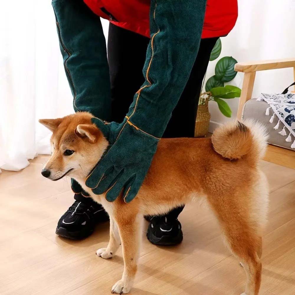 Bithandskar för hund och katt - bit och rivskydd