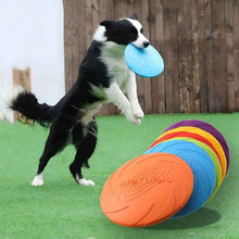 Interaktiv hundfrisbee – träning & lek för alla storlekar