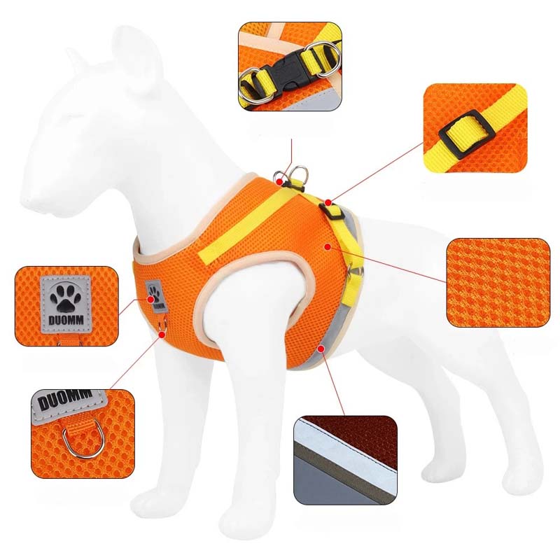 Hund- och kattsele med justerbara band & reflex