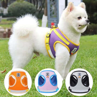 Hund- och kattsele med justerbara band & reflex