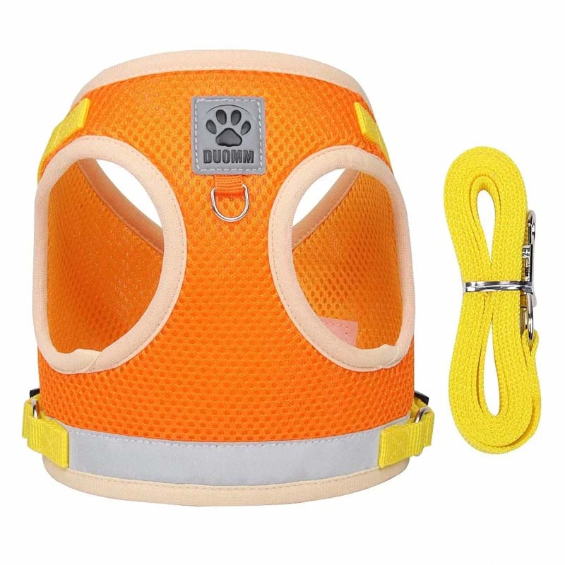 Hund- och kattsele med justerbara band & reflex Orange