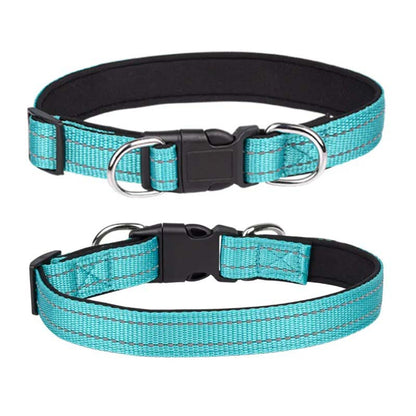 Hundhalsband i nylon med reflex – säkerhet i mörker Turkos