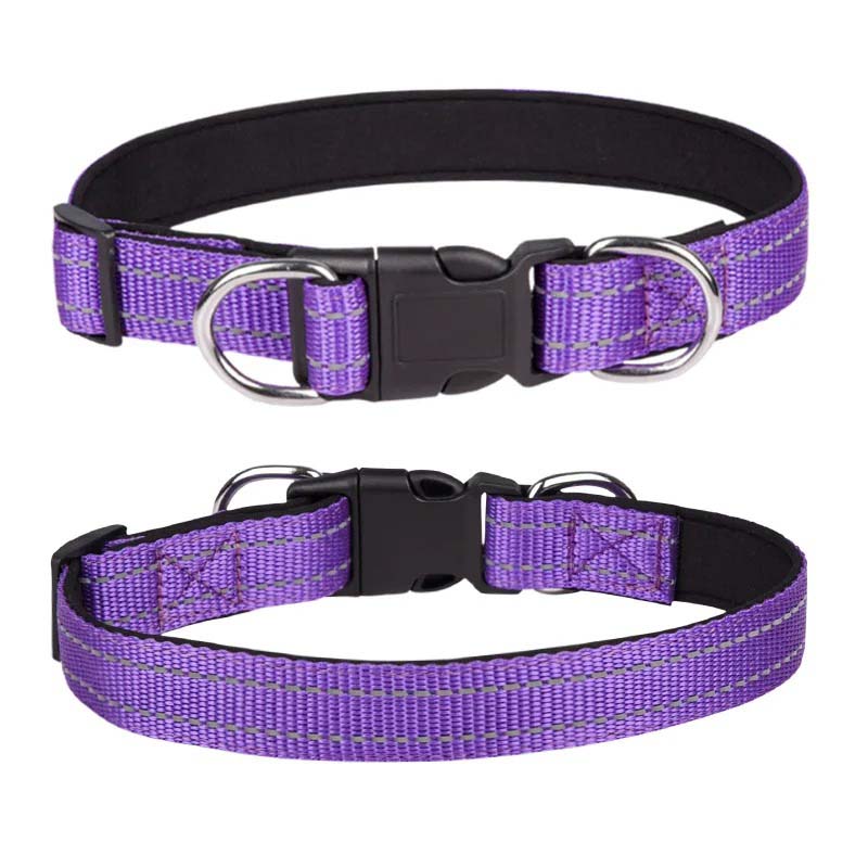 Hundhalsband i nylon med reflex – säkerhet i mörker Lila