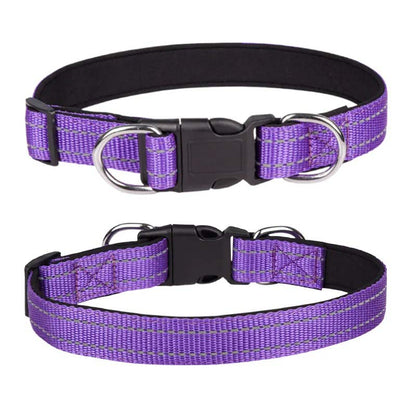Hundhalsband i nylon med reflex – säkerhet i mörker Lila