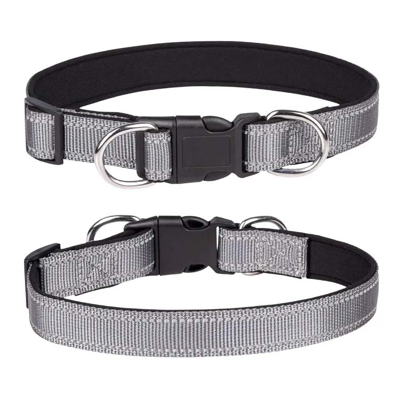 Hundhalsband i nylon med reflex – säkerhet i mörker Grå
