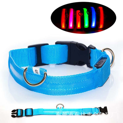 Hundhalsband med LED-ljus – synlighet & säkerhet i mörker