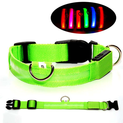 Hundhalsband med LED-ljus – synlighet & säkerhet i mörker
