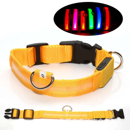 Hundhalsband med LED-ljus – synlighet & säkerhet i mörker