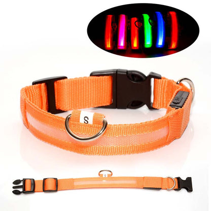 Hundhalsband med LED-ljus – synlighet & säkerhet i mörker