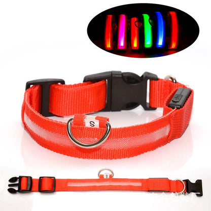 Hundhalsband med LED-ljus – synlighet & säkerhet i mörker
