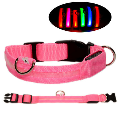 Hundhalsband med LED-ljus – synlighet & säkerhet i mörker