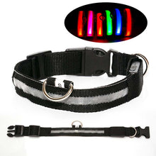 Hundhalsband med LED-ljus – synlighet & säkerhet i mörker