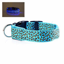 Hundhalsband med LED - flera ljuslägen Blå