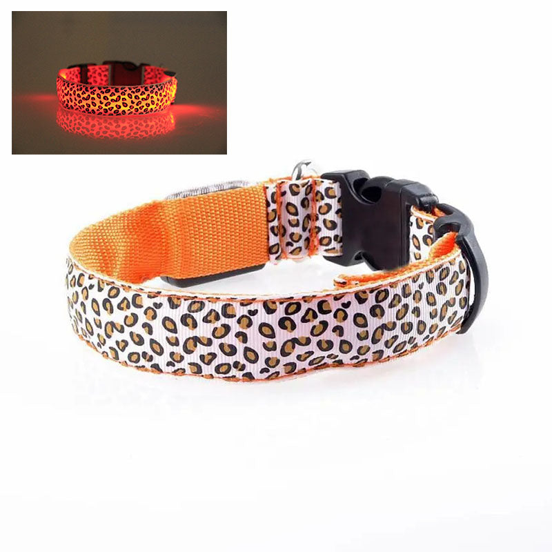 Hundhalsband med LED - flera ljuslägen Orange