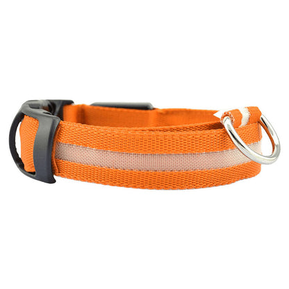 Hundhalsband med ljus och reflex - synlighet i mörkret Orange USB-uppladdningsbar
