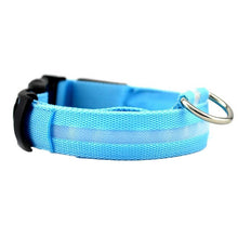 Hundhalsband med ljus och reflex - synlighet i mörkret Blå