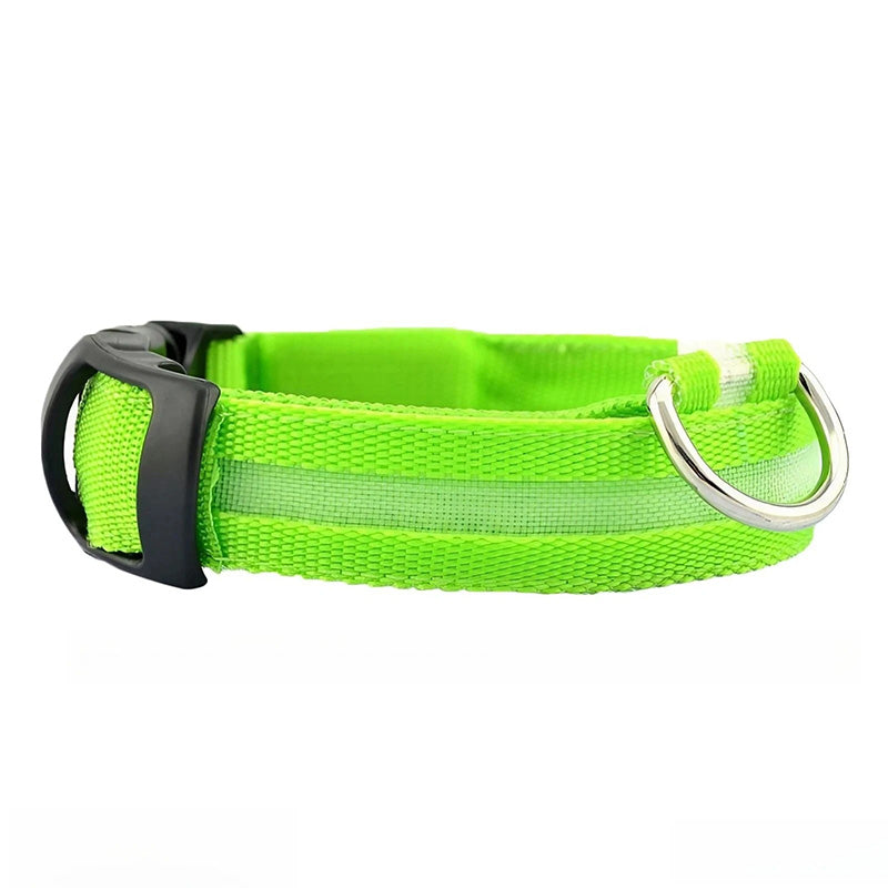 Hundhalsband med ljus och reflex - synlighet i mörkret Grön