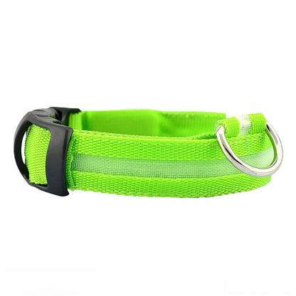 Hundhalsband med ljus och reflex - synlighet i mörkret Grön
