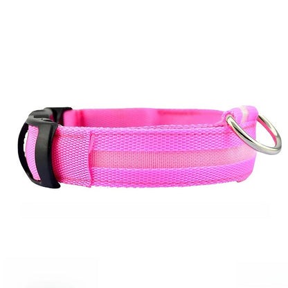 Hundhalsband med ljus och reflex - synlighet i mörkret Rosa