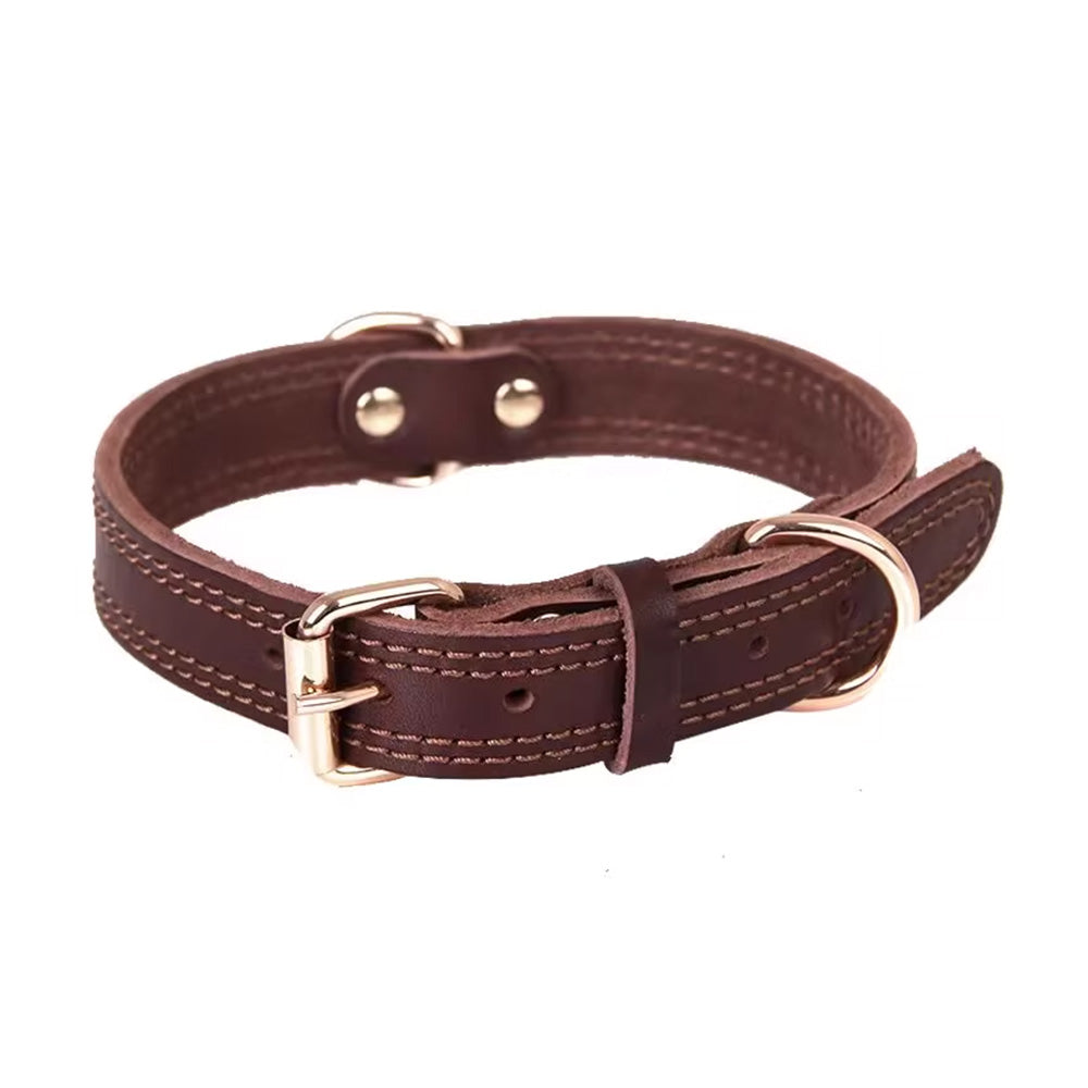 Hundhalsband läder – stark spänne - brun L