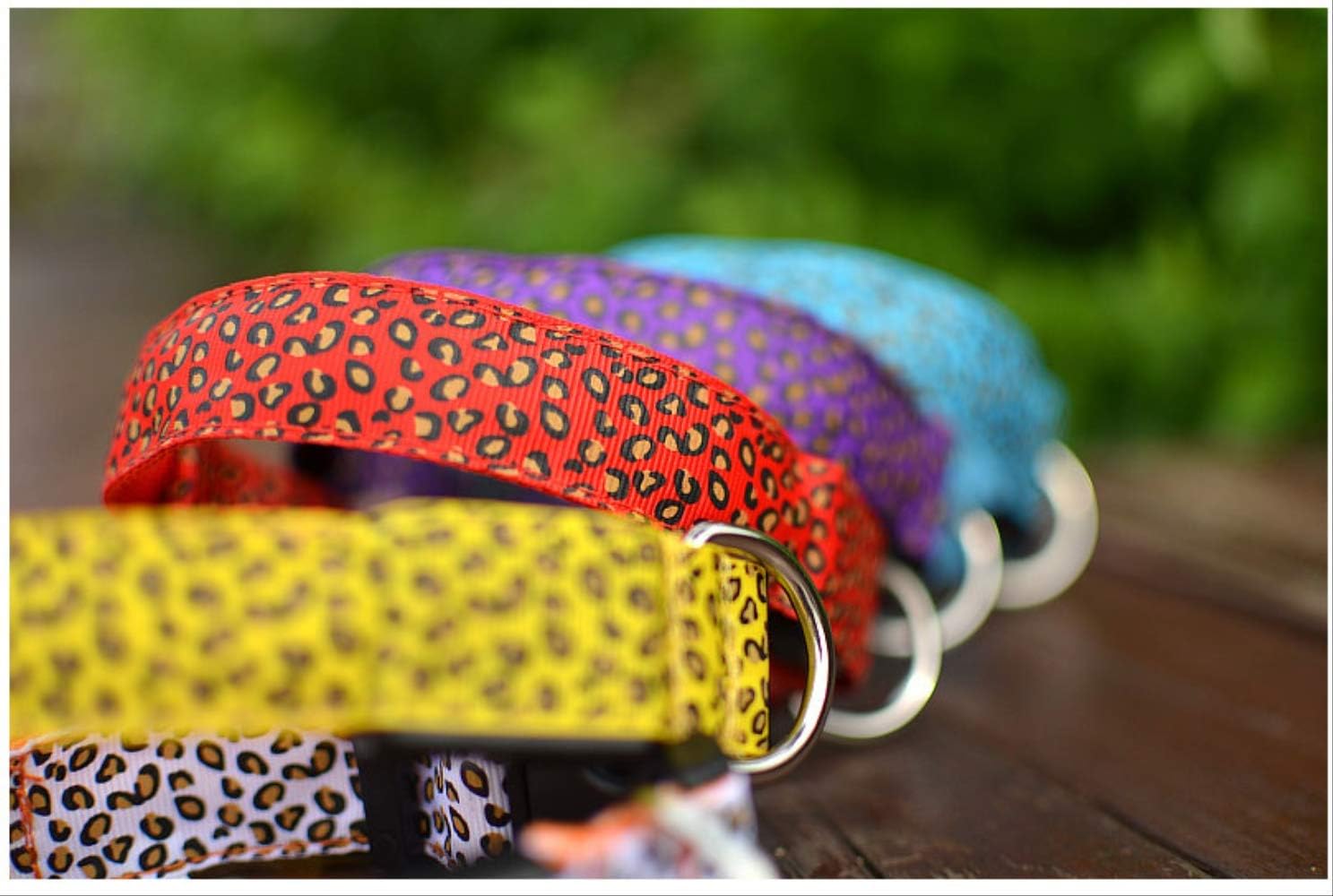 Hundhalsband med LED - flera ljuslägen