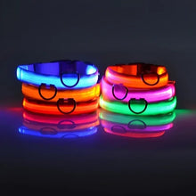 Hundhalsband med LED-ljus – synlighet & säkerhet i mörker