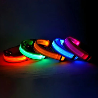 Hundhalsband med LED-ljus – synlighet & säkerhet i mörker