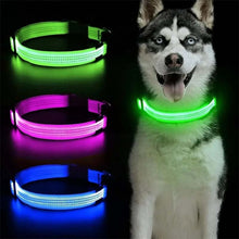 Hundhalsband med ljus och reflex - synlighet i mörkret