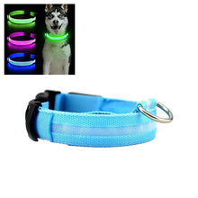 Hundhalsband med ljus och reflex - synlighet i mörkret