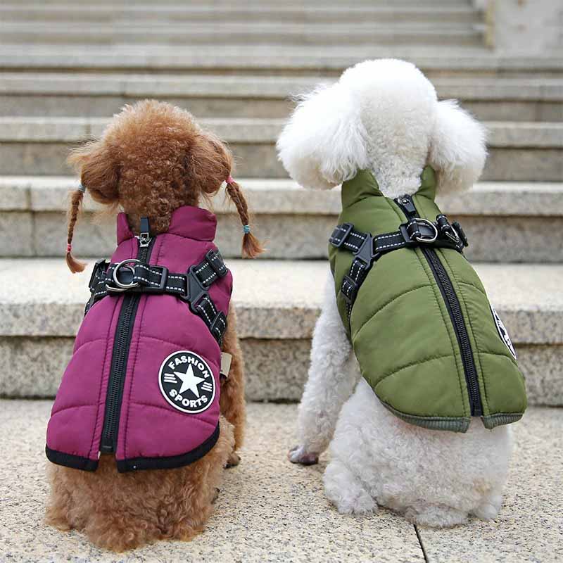Hundjacka med sele – varm vinterjacka för hundar