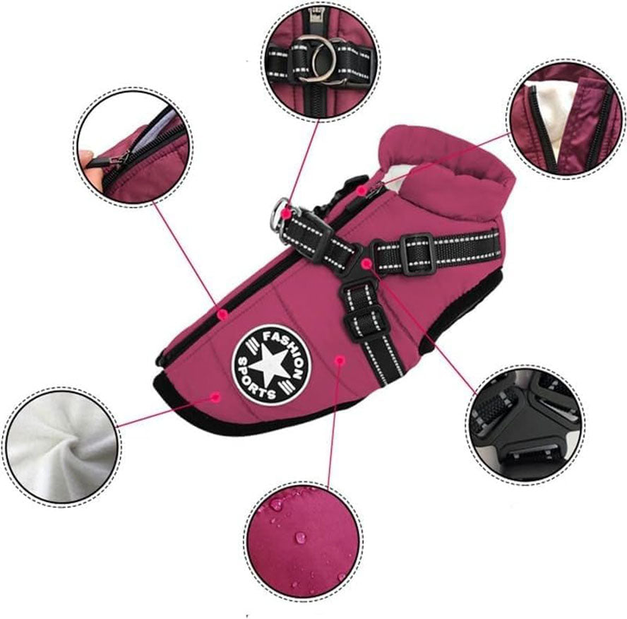 Hundjacka med sele – varm vinterjacka för hundar