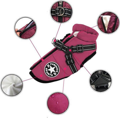 Hundjacka med sele – varm vinterjacka för hundar