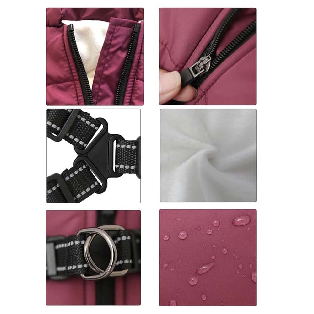 Hundjacka med sele – varm vinterjacka för hundar