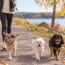 Hundkoppel för två eller tre hundar