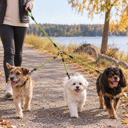 Hundkoppel för två eller tre hundar