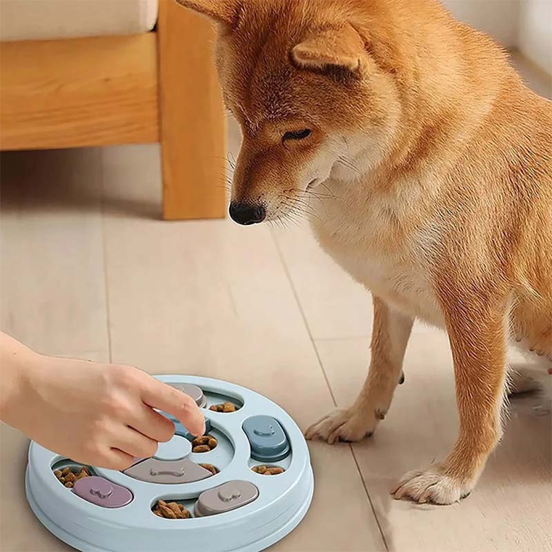 Hundpussel med gömmor – mental träning & lek