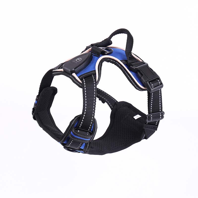 Hundsele med LED-belysning - reflex, laddningsbar & justerbar Blå