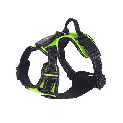 Hundsele med LED-belysning - reflex, laddningsbar & justerbar Grön