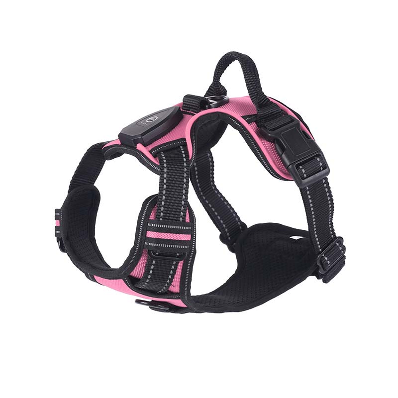 Hundsele med LED-belysning - reflex, laddningsbar & justerbar Rosa