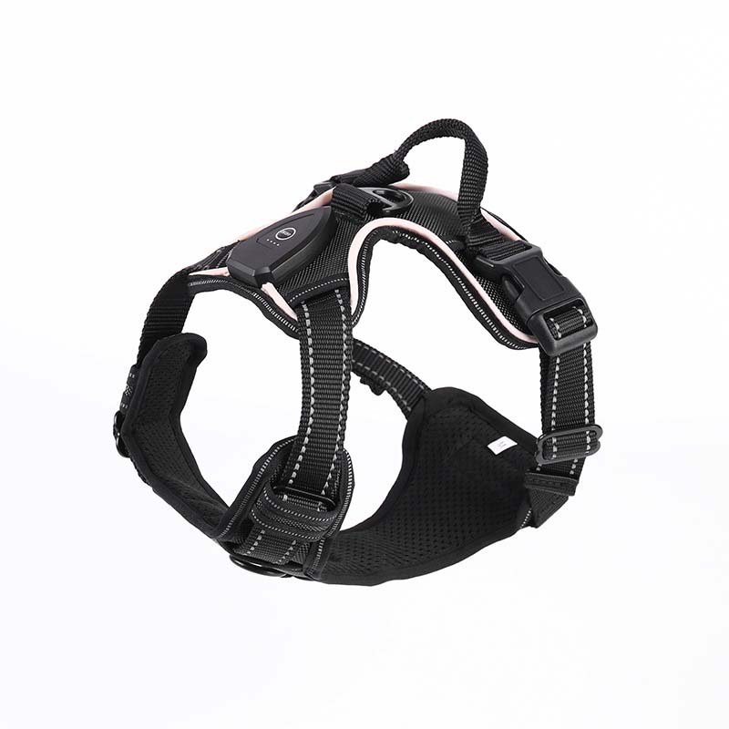 Hundsele med LED-belysning - reflex, laddningsbar & justerbar Svart