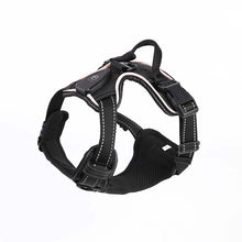 Hundsele med LED-belysning - reflex, laddningsbar & justerbar Svart