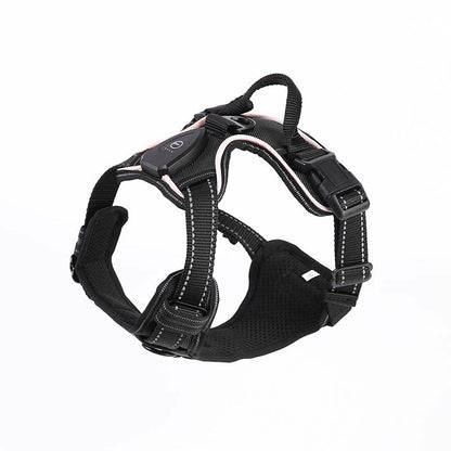 Hundsele med LED-belysning - reflex, laddningsbar & justerbar Svart
