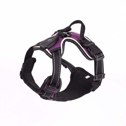 Hundsele med LED-belysning - reflex, laddningsbar & justerbar Lila