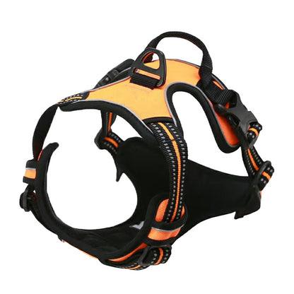 Hundsele för bil och promenad - reflex, bekväm, slitstark Orange