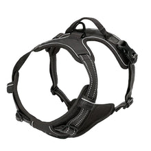 Hundsele för bil och promenad - reflex, bekväm, slitstark Svart